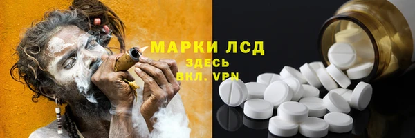 ПСИЛОЦИБИНОВЫЕ ГРИБЫ Богданович