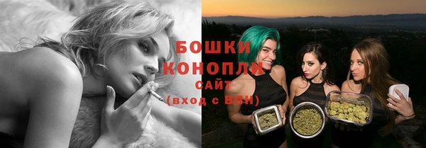 mix Богородск