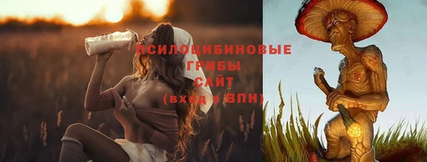 ПСИЛОЦИБИНОВЫЕ ГРИБЫ Богданович