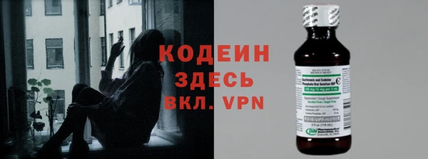 ПСИЛОЦИБИНОВЫЕ ГРИБЫ Богданович