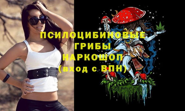 mix Богородск