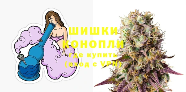 дживик Нягань