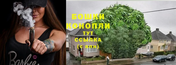 ПСИЛОЦИБИНОВЫЕ ГРИБЫ Богданович