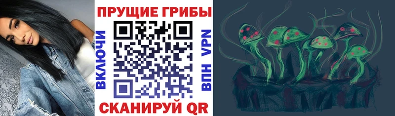 мега tor  дарнет шоп  Туран  Псилоцибиновые грибы GOLDEN TEACHER 